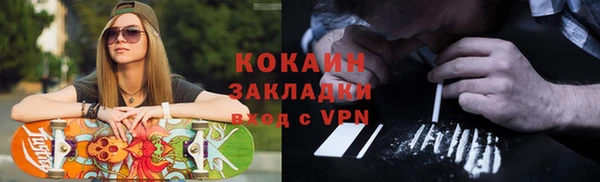 шишки Алексин