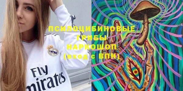 шишки Алексин